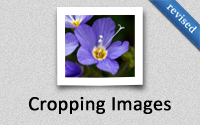 Cropping Images (revised)